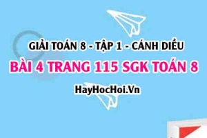 Giải bài 4 trang 115 Toán 8 Tập 1 SGK Cánh Diều